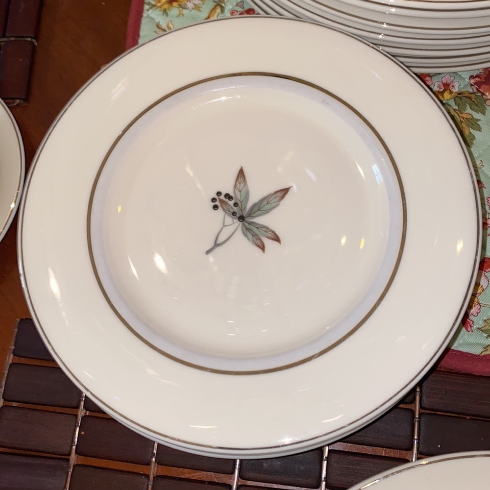 Castleton Fine China Glenwood Service for Four - 40 pc Set - Picture 5 of 10